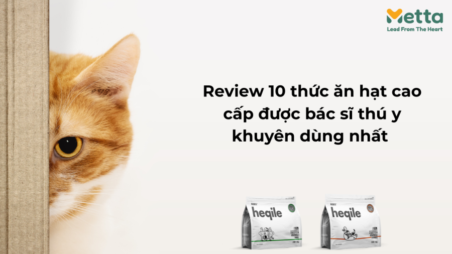 Review 10 Thức ăn Hạt Cao Cấp được Bác Sĩ Thú Y Khuyên Dùng Nhất